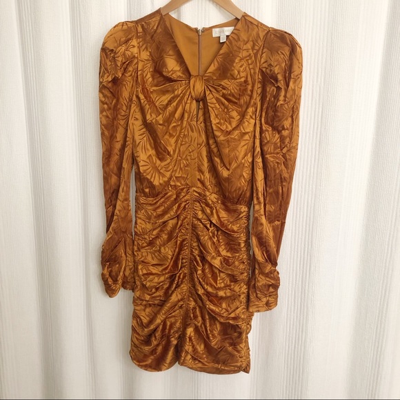 Ronny Kobo Flora Bronze Ruched Mini Dress - Picture 8 of 14